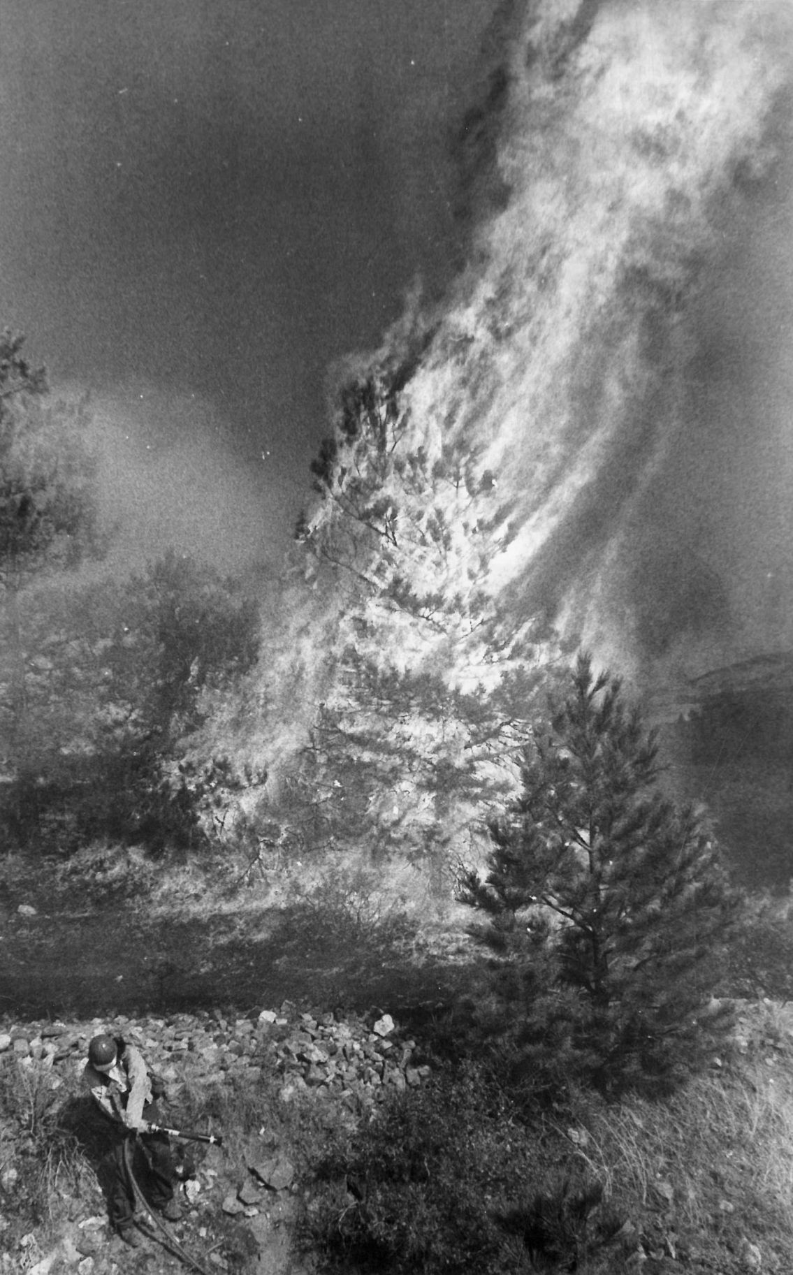 A wildfire burns near Helena